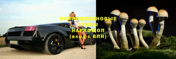 молекула духа Корсаков