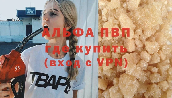 спиды Козловка