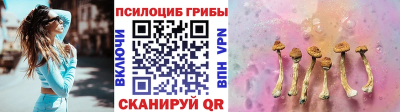 Купить закладки  Чернушка  Псилоцибиновые грибы ЛСД 